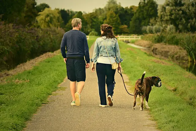 Discover the Spectacular Benefits of Taking a Stroll!