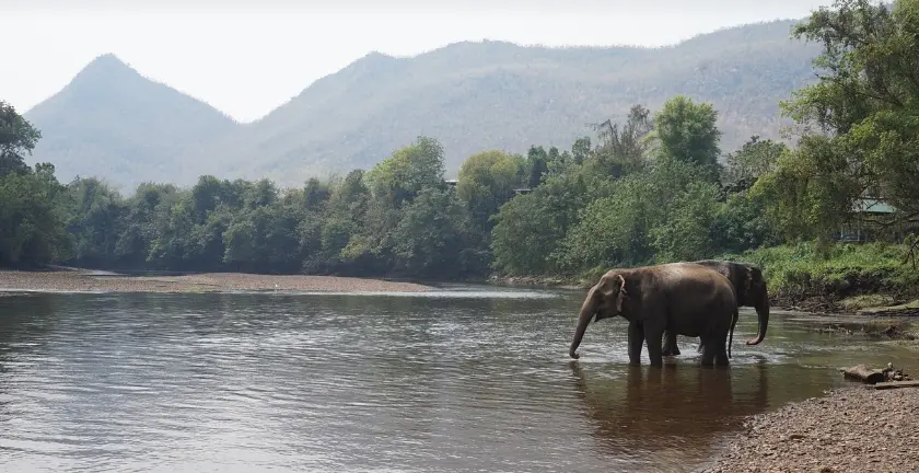 The Ultimate Guide to Backpacking Through Southeast Asia
