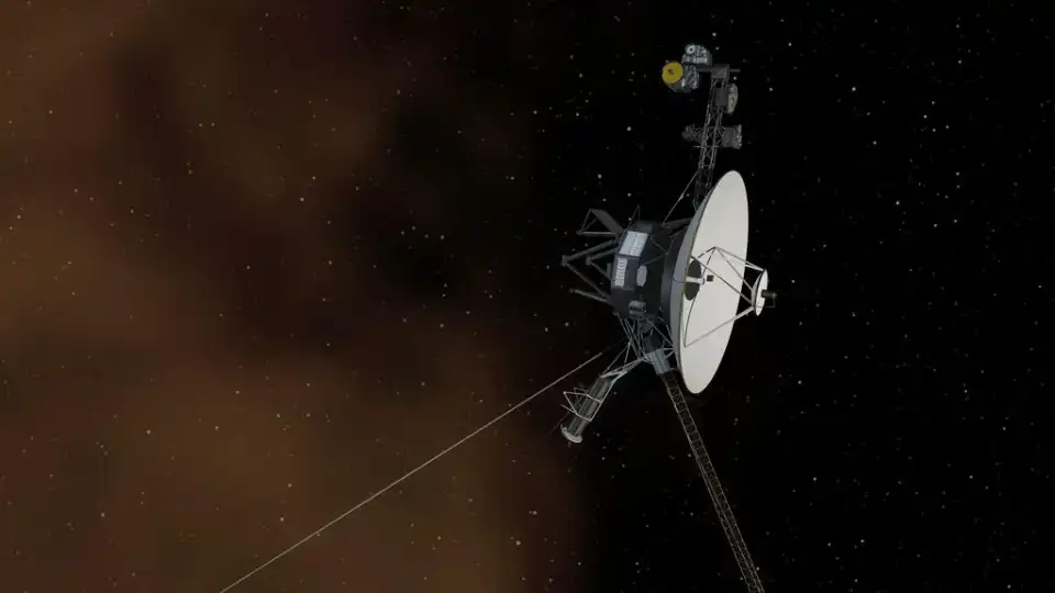 News Roundup: COVID-19, Voyager 2, & Parents of a 101-Year-Old
