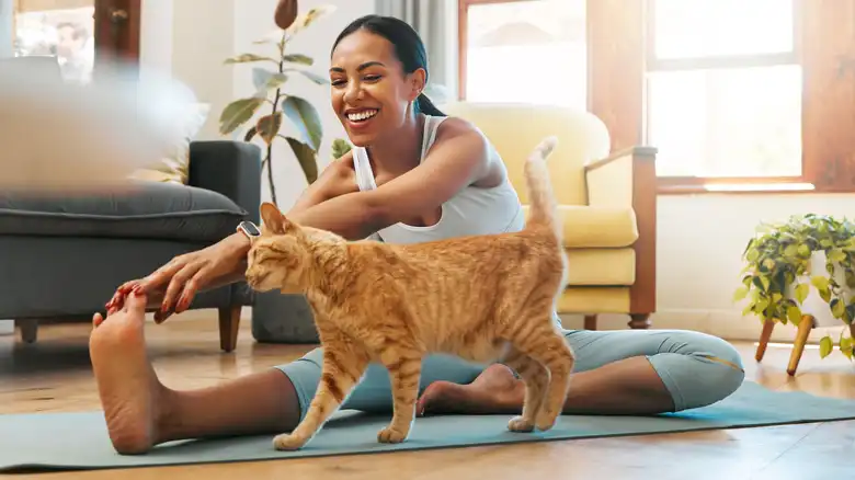 The Best Ways To Get Your Cat To Work Out With You