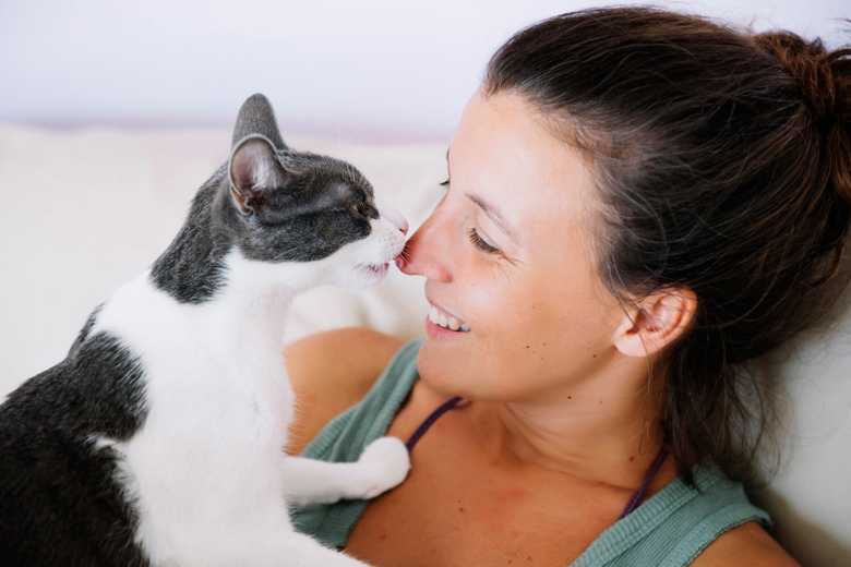 Why Does My Cat Lick Me When I Pet Her?