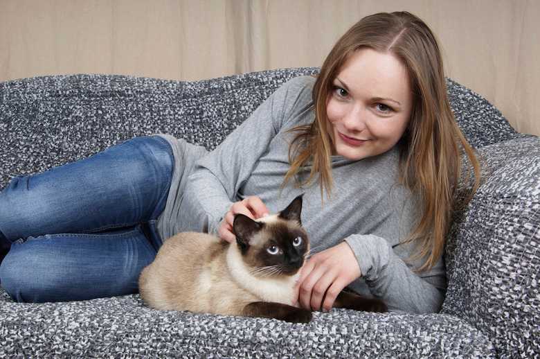 How To Tell If Your Cat Likes You