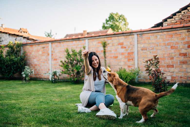 How To Build A Backyard Dog Potty Area